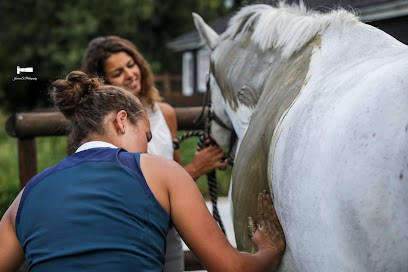 Amély Prévot - Masseur équin Canin, Institut de Massage à Nesles-la-Montagne