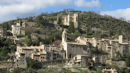 Montbrun-les-Bains Shiatsu massage japonais - adultes, enfants, périnatalité, Institut de Massage à Montbrun-les-Bains