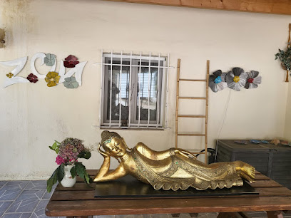 Veronique Zabay - Massage Bien-Être Et Kinésiologie Institut De Massage à Gréolières