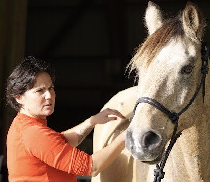 Marjorie masseur canin et equin, Institut de Massage à Surzur