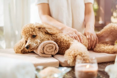 Cocooning Pour Pattes De Velours Institut De Massage à Callian