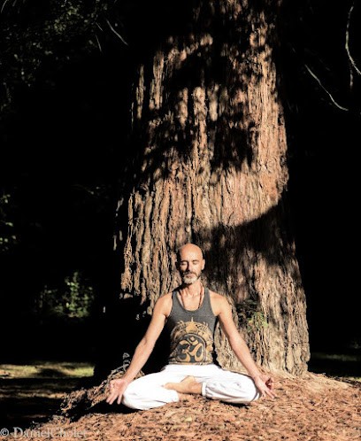 Grégory Yoga & Massages Bien-être, Institut de Massage à Sautron