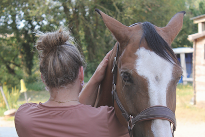 Equimoov' - Massage Equin, Institut De Massage à Châtillon-en-Vendelais
