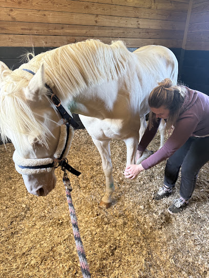 Equi'n'co Institut De Massage à Falaise