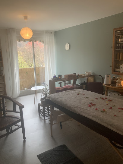 Santé Plurielle Institut De Massage au Vigan