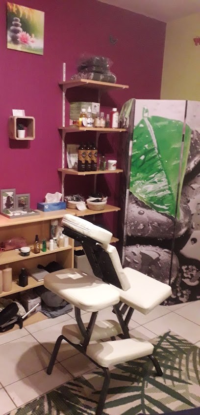 ManelleZen, Institut de Massage à Plounévézel