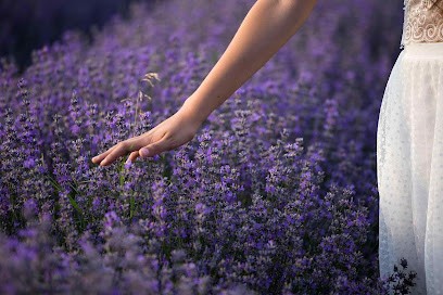 Un Chêne Sous La Lune, Institut de Massage à Noailles