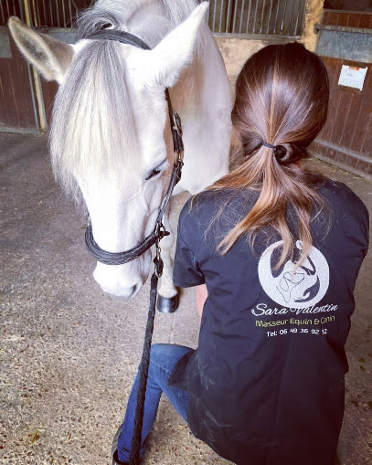 Sara Valentin Massage Equin & Canin, Institut De Massage à Gallardon
