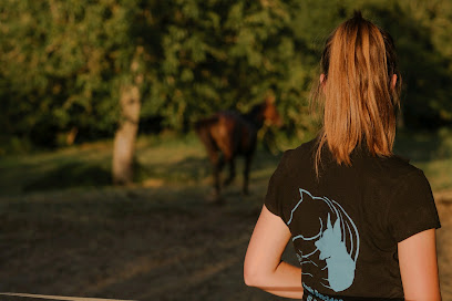Anaïs.d Masseur Equin Et Canin, Institut De Massage à Charenton-du-Cher