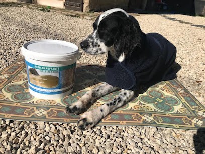 Form'Animals - Masseur Et Préparateur Sportif Animalier, Institut de Massage à Mervent