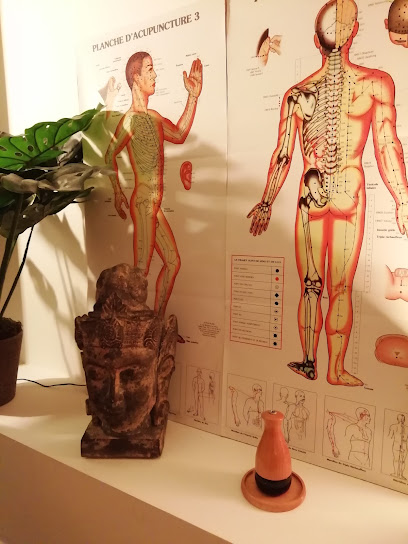 Vital Shiatsu Arles, Cédric Peretou. Spécialiste En Shiatsu Institut De Massage à Arles