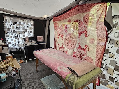 Les Massages De Sylvie, Institut de Massage à Saint-Martin-de-Crau