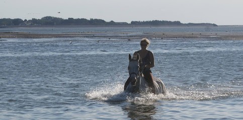 Equi'Forme, Institut de Massage à Roëllecourt