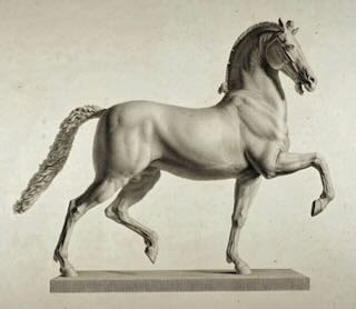 Equine Mind Body - Massage & Physio De Performance Équine Institut De Massage à Paris 17