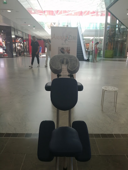 Ammazing Bien-Être Institut De Massage à Mulhouse