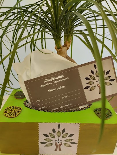 LUCILLUMINE - Lucie - Magnétiseuse à Reignier-Ésery, Institut de Massage à Reignier-Ésery