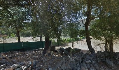 Per Sè. Renata França, Institut de Massage à Moltifao