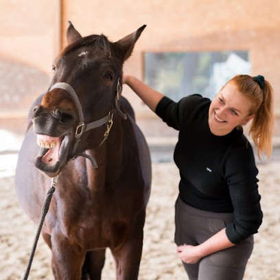 Clara Marchal - Masseur Equin et Canin - Déplacements en Bretagne, Institut de Massage à Ploubazlanec