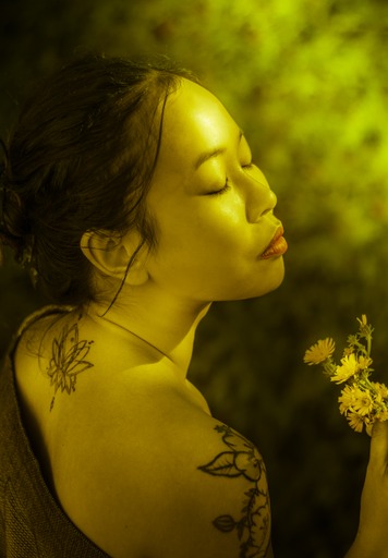 Ngoc-Hoa Massage, À Balma, Toulouse. Massage Vietnamien, Énergétique, Soin. Institut De Massage à Balma