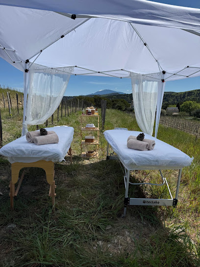 Di-Vinothérapie, Institut De Massage à Piolenc