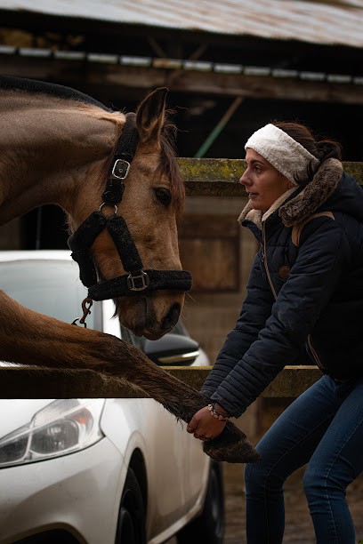 Fanette PhysioAnimal-Masseur Equin&Canin, Institut de Massage à Othis