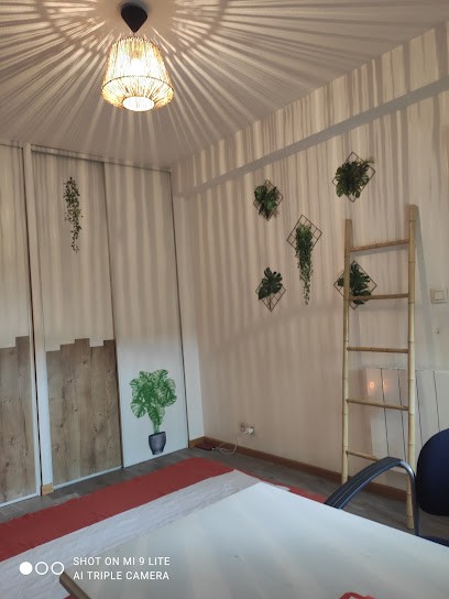 Le Lotus Colibri Shiatsu, Institut de Massage à Saint-Alban