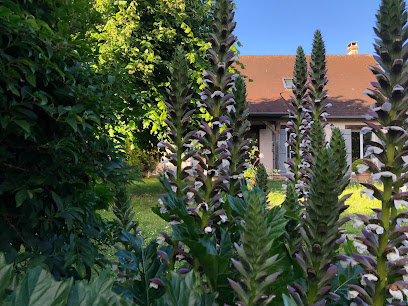Harmonie Des Sens Pacy, Institut De Massage à Pacy-sur-Eure