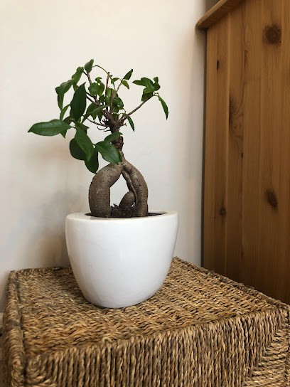 Shiatsu traditionnel - Rennes - St Jacques de la lande - Pierre Gérard, Institut de Massage à Saint-Jacques-de-la-Lande