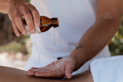 Lemasseurblc Institut De Massage à Hyères