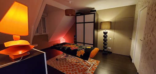 Jocelyne Rouilly Massage, Institut de Massage à Saint-Denis-en-Val