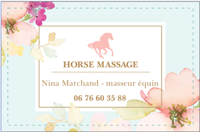 Horse Massage Institut De Massage à Martigny-le-Comte