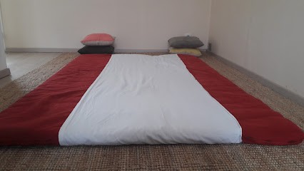 Nicolas Herrmann - Shiatsu, Institut de Massage à Villeneuve-Tolosane