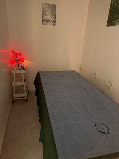 Massage Chinois Chinese Massage Institut De Massage à Cagnes-sur-Mer