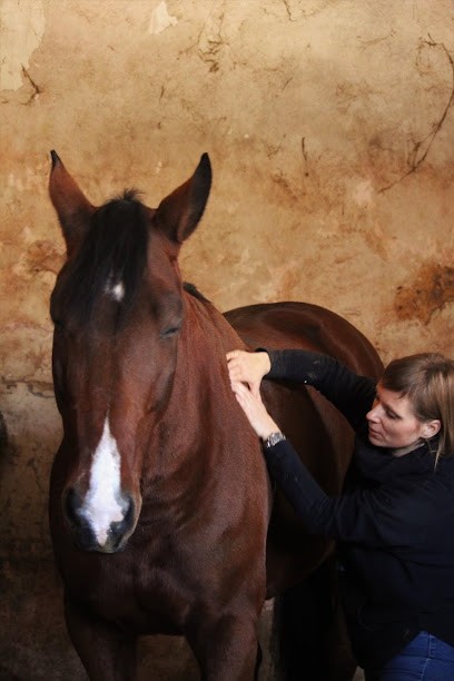 Ekine and Co masseur équin et canin, Institut de Massage à Houx